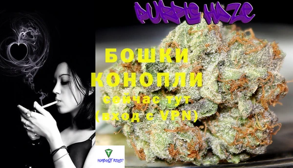 мяу мяу мука Абаза