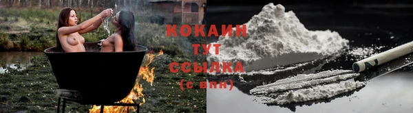 мяу мяу мука Абаза