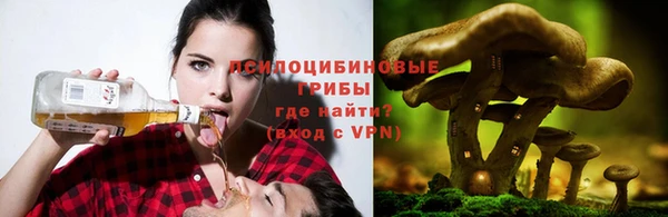 бошки Абинск
