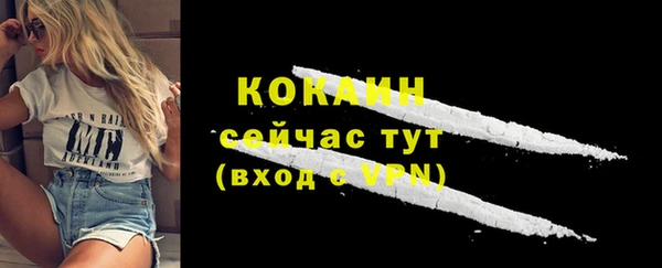 мяу мяу мука Абаза