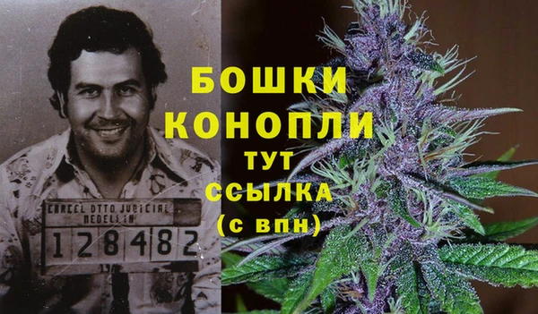 трава Абдулино
